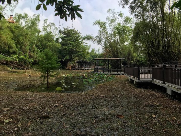 竹林生態濕地公園